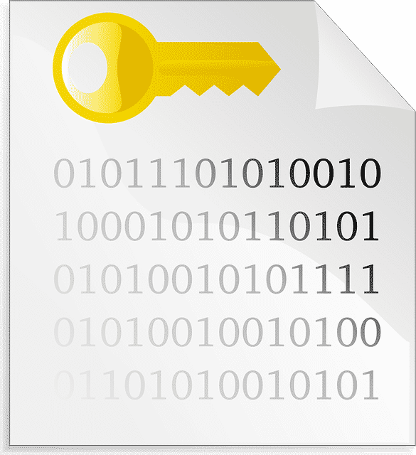 Online Encryption